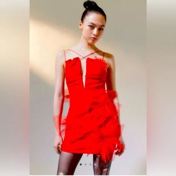 NWT | For Love and Lemons Red Alberta Mini Dress Tulle Bows Small - Picture 4 of 10